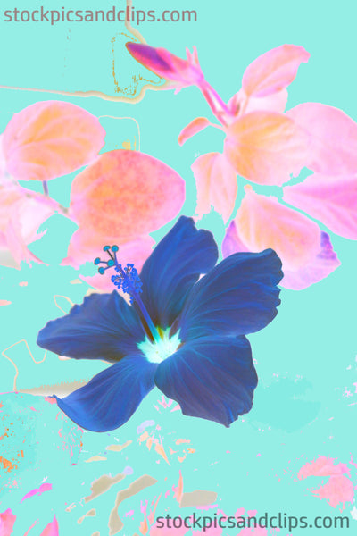 Flower Hibiscus Inverted