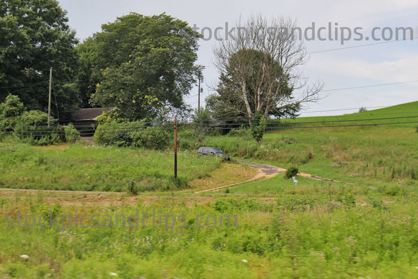 Rural Scene Roadside View