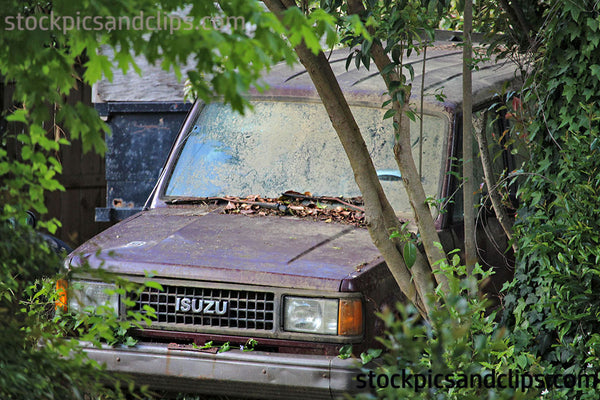 Abandoned Isuzu