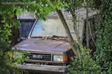 Abandoned Isuzu