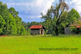 Abandoned Shed