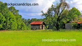 Abandoned Shed