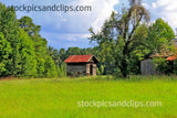 Abandoned Shed