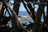 Alcatraz Island San Francisco California View from Afar