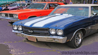 Blue Chevelle at the Show