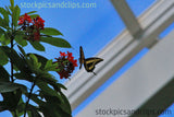 Butterfly Rests on Flower (Faux Oil Painting)