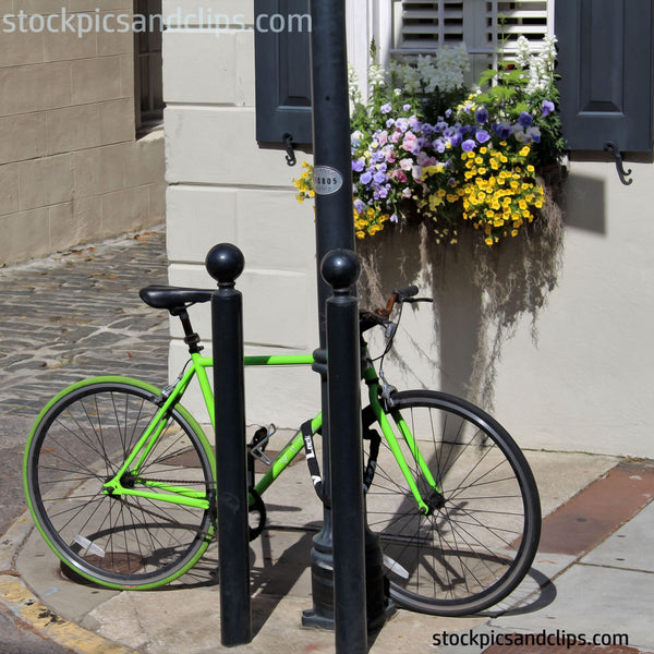 Charleston SC Green Bicycle and Flowers Square