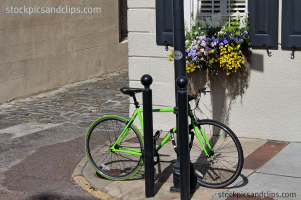 Charleston SC Green Bicycle and Flowers (Faux Painting)