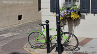 Charleston SC Green Bicycle and Flowers