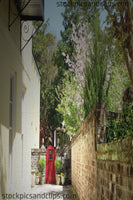 Charleston SC Charm (Phainting, Vertical Situation)