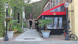 Charleston SC Cafe Bicycle Potted Palms