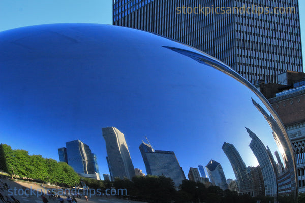 Chicago Reflections