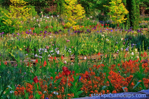 Durham Duke Gardens NC (Phainting, 6'x 4')