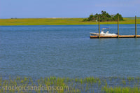 East Coast's Marshy Waterway