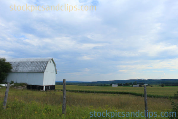 White Barn, Phainting