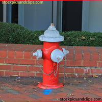 Fire Hydrant (288dpi)