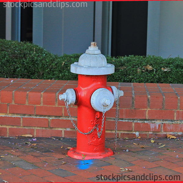 Fire Hydrant