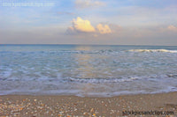 Florida Atlantic Sea Shore