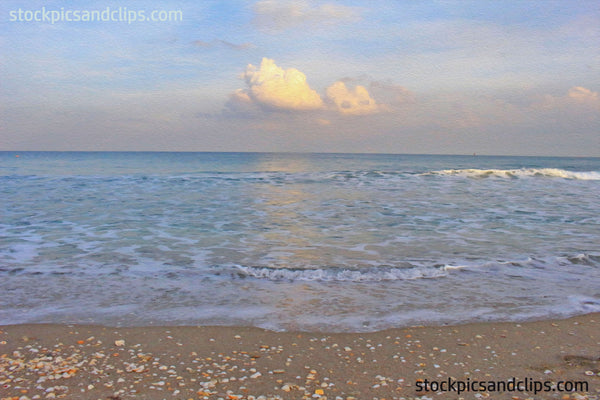 Florida Atlantic Sea Shore