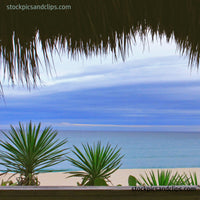 Florida Atlantic Ocean Beach