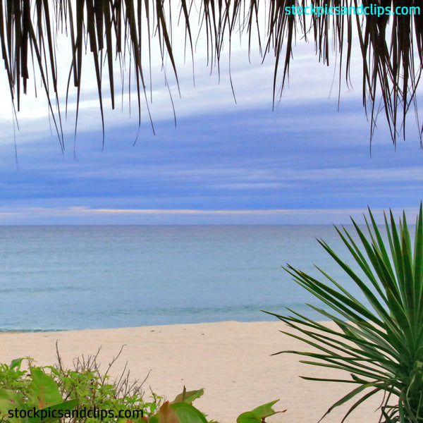 Florida Atlantic Ocean