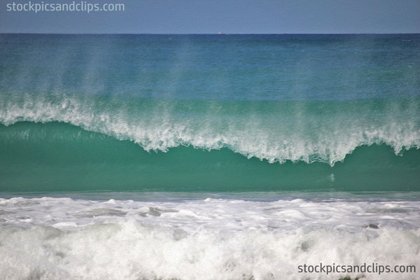 Florida Ocean Wave