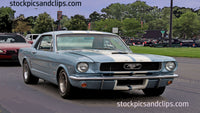 Ford Mustang Light Blue Baby
