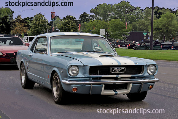 Ford Mustang Light Blue Baby