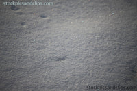 Glistening Snow (72dpi)