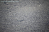 Glistening Snow (72dpi)