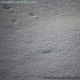 Glistening Snow (72dpi)