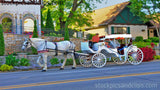 Horse and Buggy