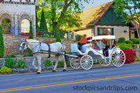 Horse and Buggy