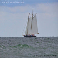 Sail Boat Touring (Canvas Texture)