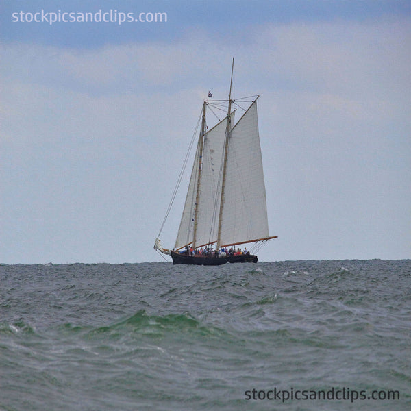 Sail Boat Touring (Canvas Texture)