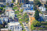 Lombard Street San Francisco California View from Coit Tower