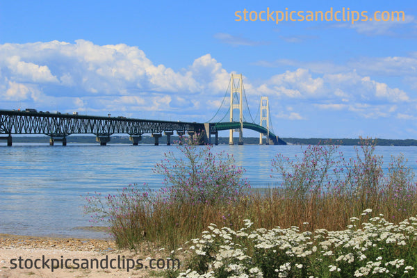 Mackinac Bridge from the Lake Shore