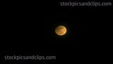Moon February 10 2017