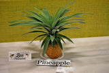 State Fair Pineapple