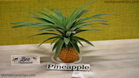 State Fair Pineapple