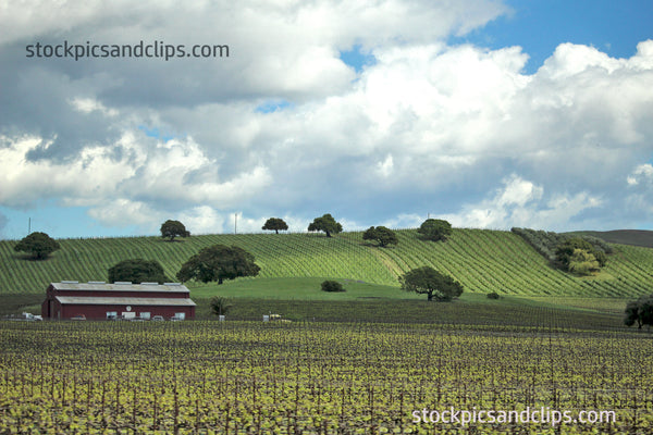 Northern California Inland Hills & Clouds