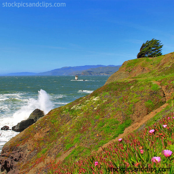 Northern California Shore (72dpi)