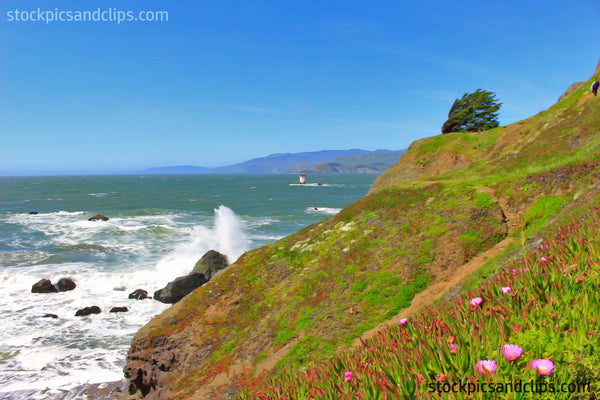 Northern California Shore