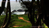 Northern California Shore View from the Trees Trail to the Ocean