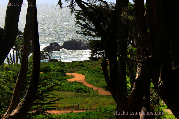 Northern California Shore View from the Trees Trail to the Ocean