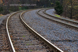 Raleigh Railroad Tracks No Train