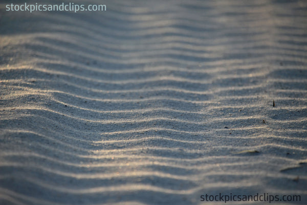 Sand, Sun and Shade