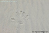 Sand Print