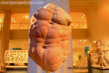 Statue NYC The MET Male Torso & Chest