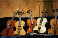 Violins Ready For You - Phainting